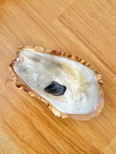 Genuine Oyster Shell Dish