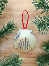 Nantucket Christmas Stroll 2025 Brant Point Large Scallop Shell Ornament