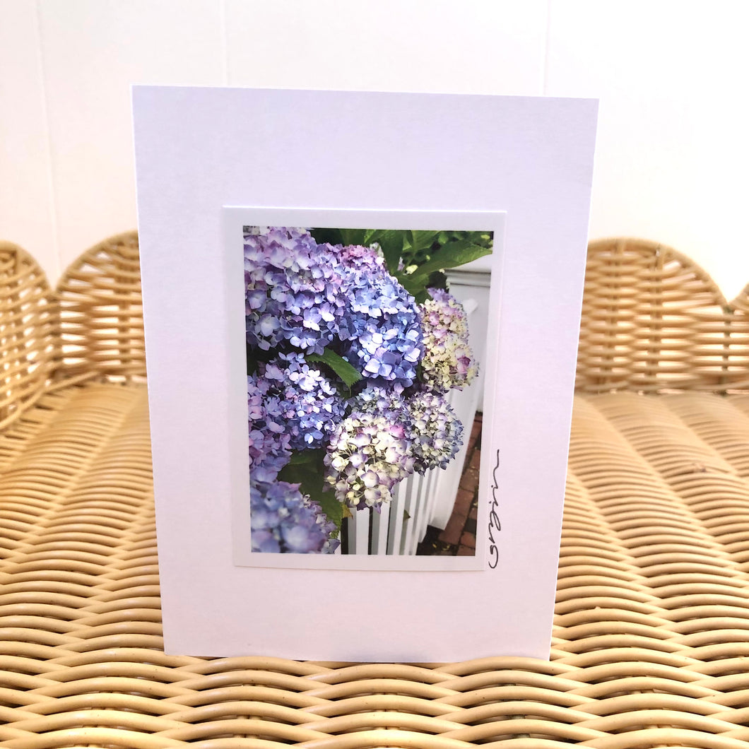 Shades of Purple Hydrangeas Boxed Card Set