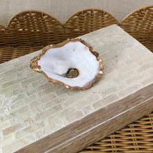 Large Oyster Shell Jewelry / Trinket Box