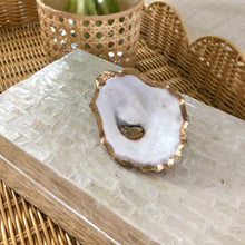 Large Oyster Shell Jewelry / Trinket Box