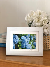 Blue Nantucket Hydrangeas Small Framed Print
