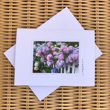 Cotton Candy Hydrangeas Boxed Card Set