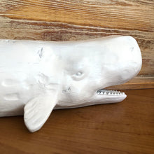 Mighty Moby White Whale Decor