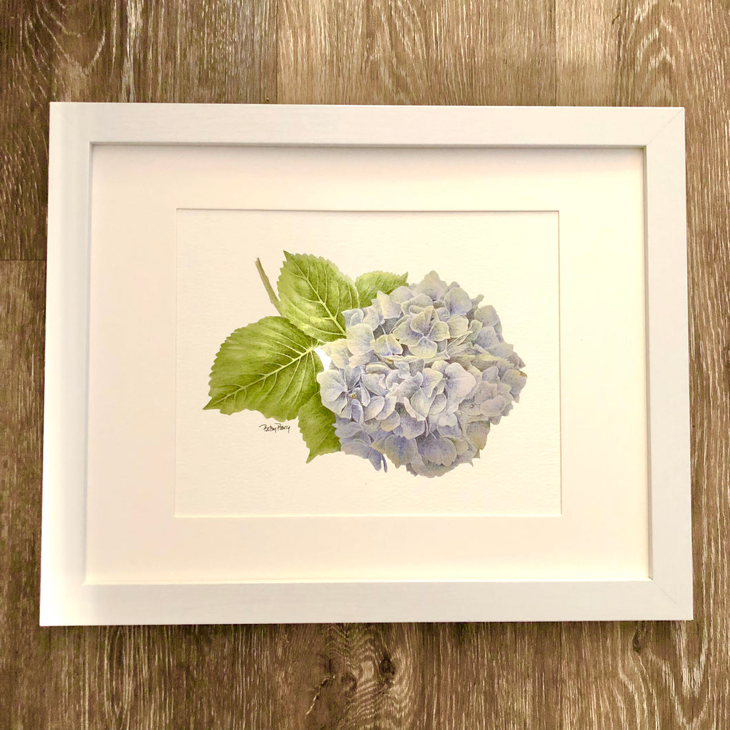Hydrangea Bloom Framed Print
