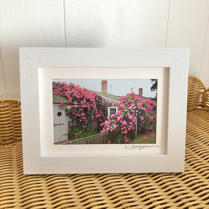 “The Rose Cottage in Sconset” Small Framed Print