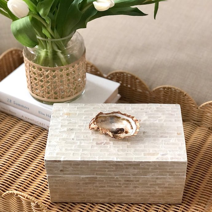 Small Oyster Shell Jewelry / Trinket Box